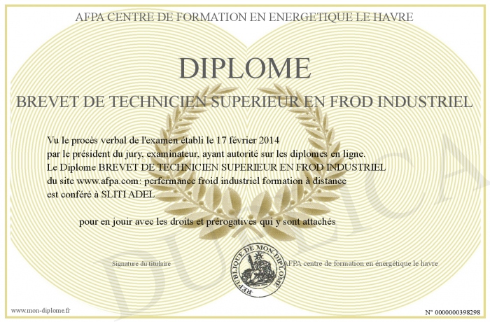 DiplomeBREVETDETECHNICIENSUPERIEURENFRODINDUSTRIEL