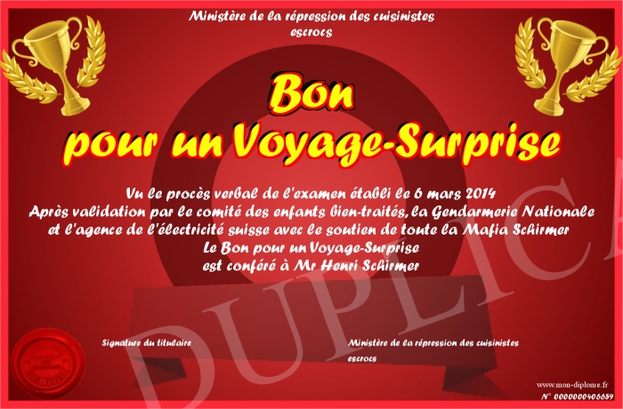 Texte Pour Offrir Un Voyage Pour Un Anniversaire Bon-pour-un-Voyage-Surprise