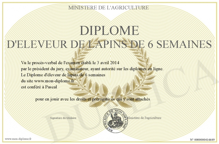 Diplome D Eleveur De Lapins De 6 Semaines