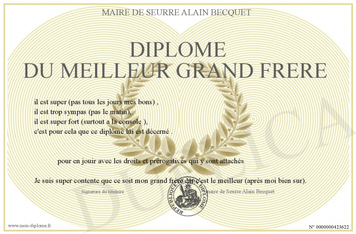 Diplome-du-meilleur-grand-frere