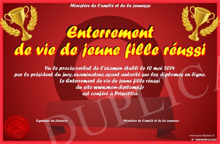Enterrement-de-vie-de-jeune-fille-reussi