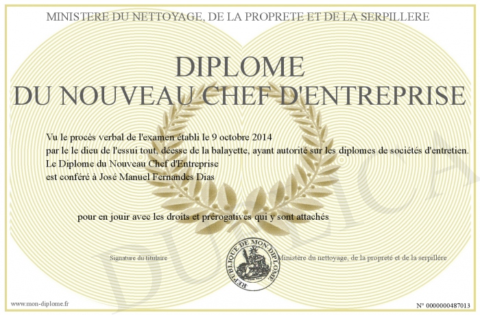 Diplome du Nouveau Chef d Entreprise