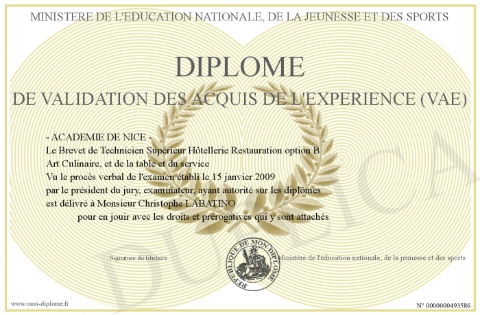 Diplome-de-Validation-des-Acquis-de-l-Experience-(VAE)