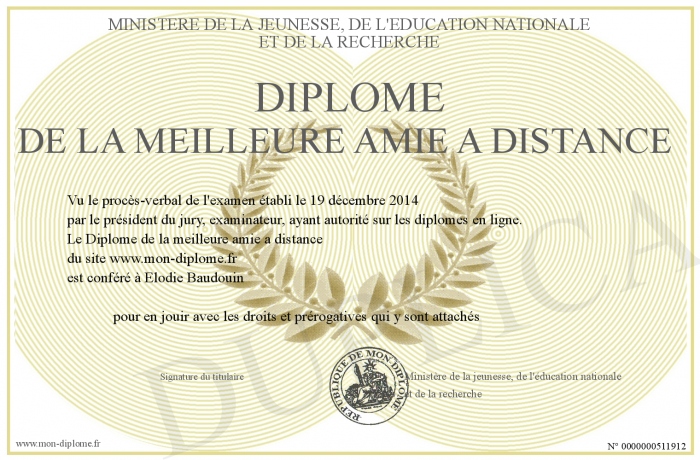 diplome universitaire a distance