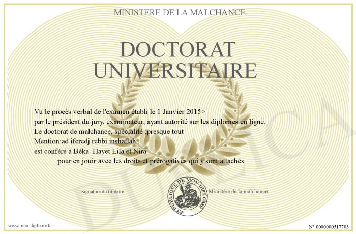 Doctoratuniversitaire