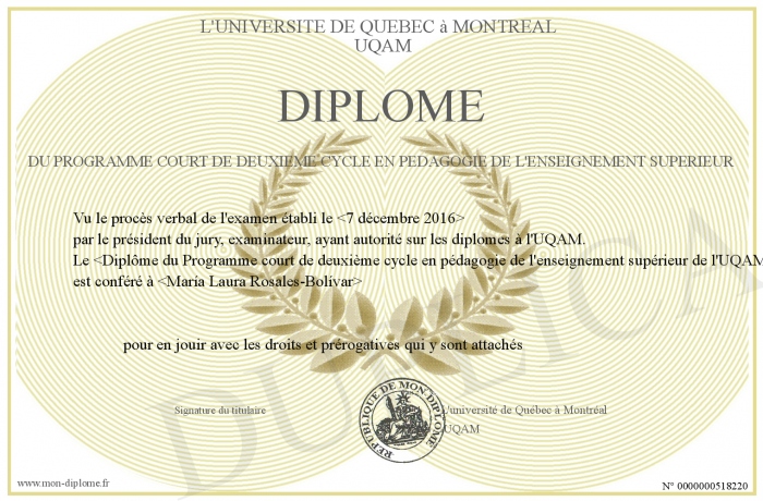 Diplome De 2eme Cycle De L Enseignement Superieur