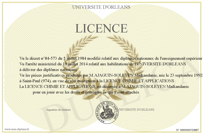 diplome universitaire orleans