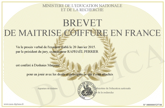 BREVET-DE-MAITRISE-COIFFURE-EN-FRANCE