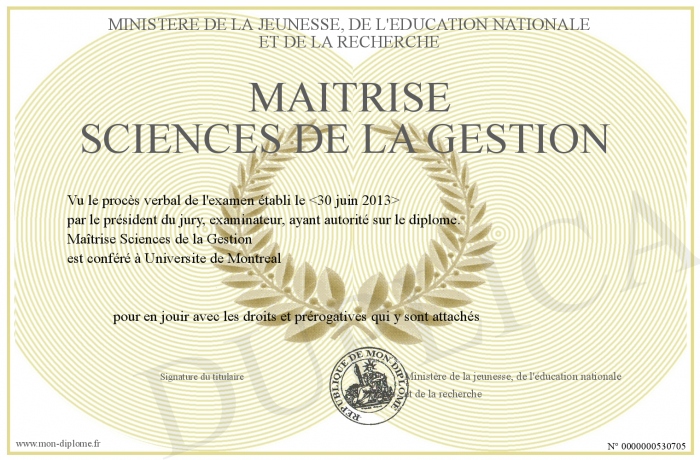 MaitriseSciencesdelaGestion