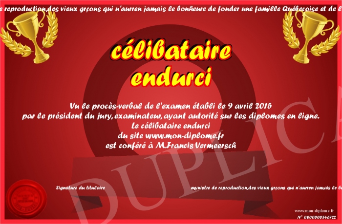 Comment Apprivoiser Un Célibataire Endurci Psychologie celibataire-endurci