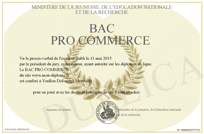 BAC-PRO-COMMERCE