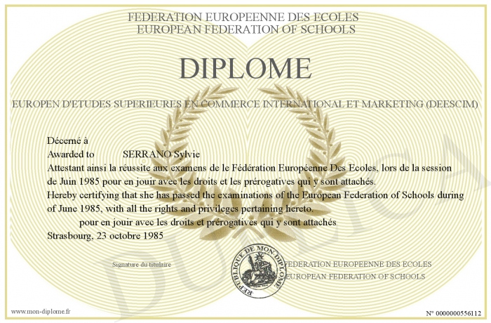 diplome e commerce