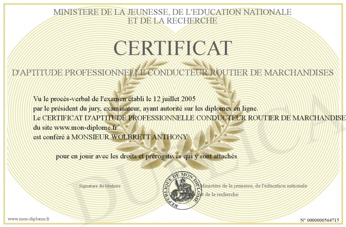 Certificat D Aptitude Professionnelle Conducteur Routier De Marchandises