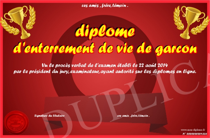 Texte Humoristique Enterrement Vie De Garçon diplome-d-enterrement-de-vie-de-garcon