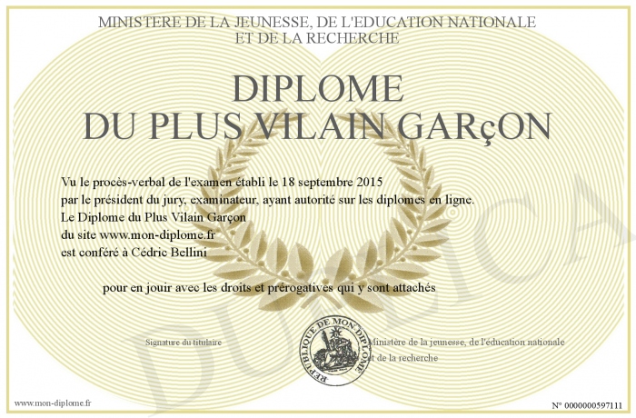 700-597111-Diplome+du+Plus+Vilain+Garcon.jpg