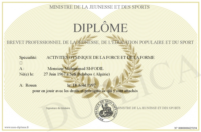 diplome jeunesse et sport