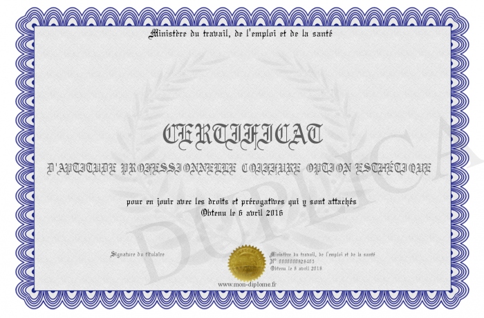 Certificat D Aptitude Professionnelle Coiffure Option Esthetique