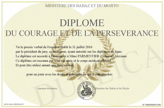 Diplome-DU-COURAGE-ET-DE-LA-PERSEVERANCE