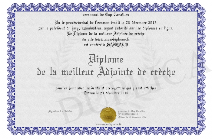 DiplomedelameilleurAdjointedecreche