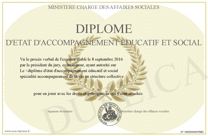 diplome d’etat accompagnant educatif et social