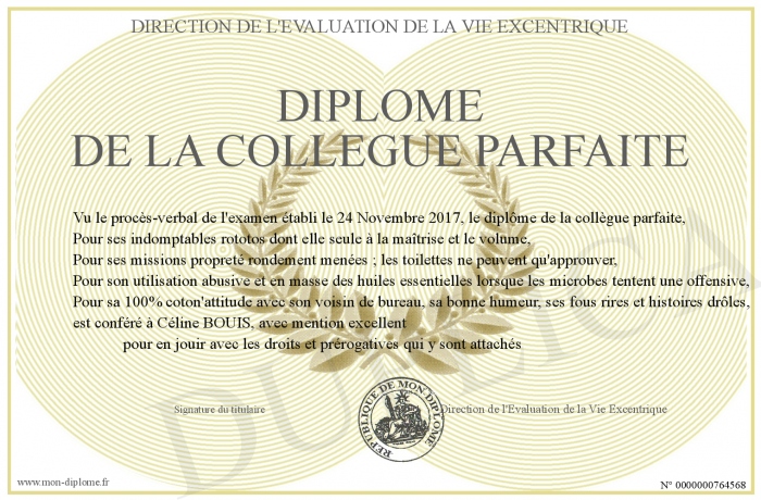 diplome-de-la-collegue-parfaite