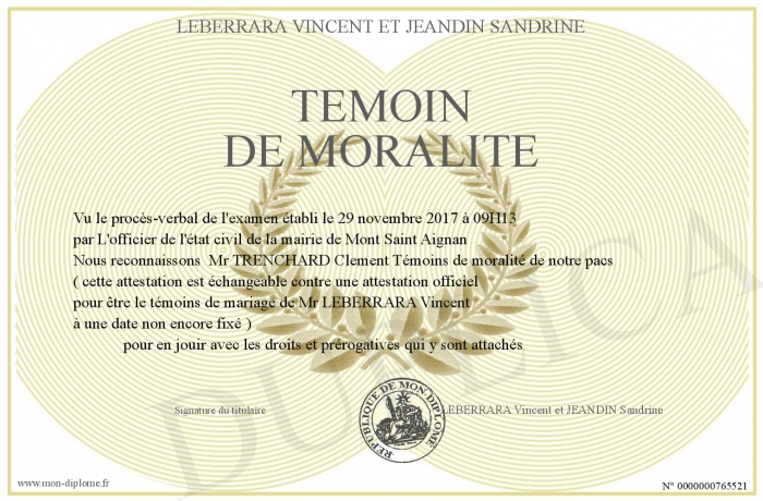 à Votre Manque De Moralité Scan Vf Temoin-de-moralite