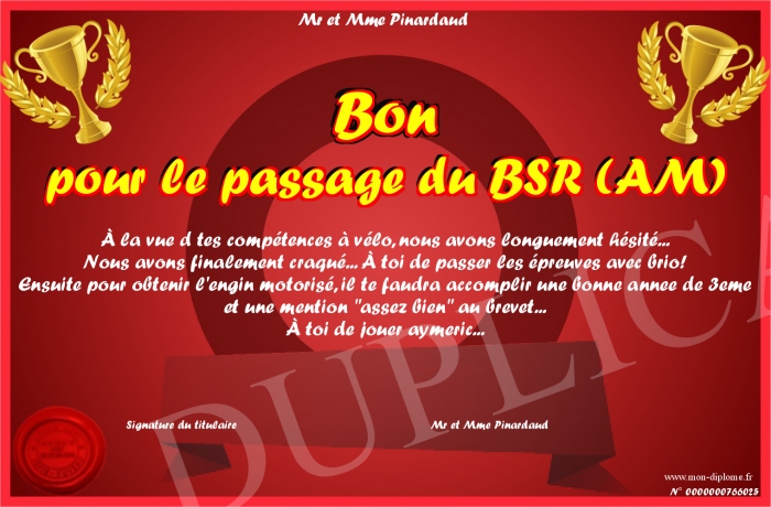 Ou Passer Le Bsr Autour De Moi