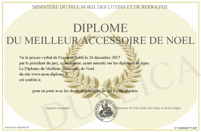 Diplome-du-Meilleur-Accessoire-de-Noel