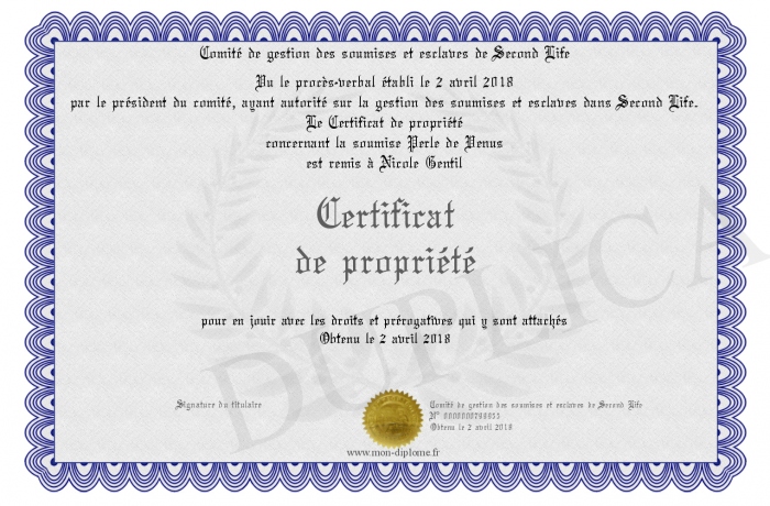 Certificat-de-propriete