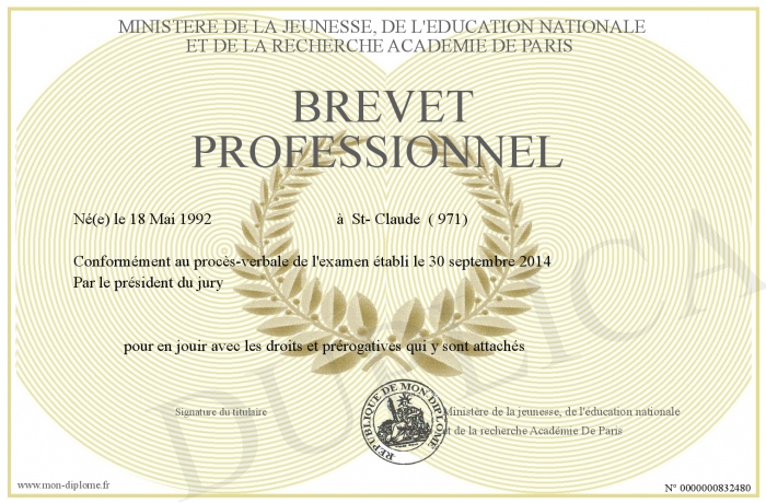 BREVET-PROFESSIONNEL