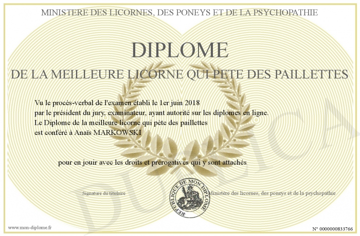 Diplomedelameilleurelicornequipetedespaillettes