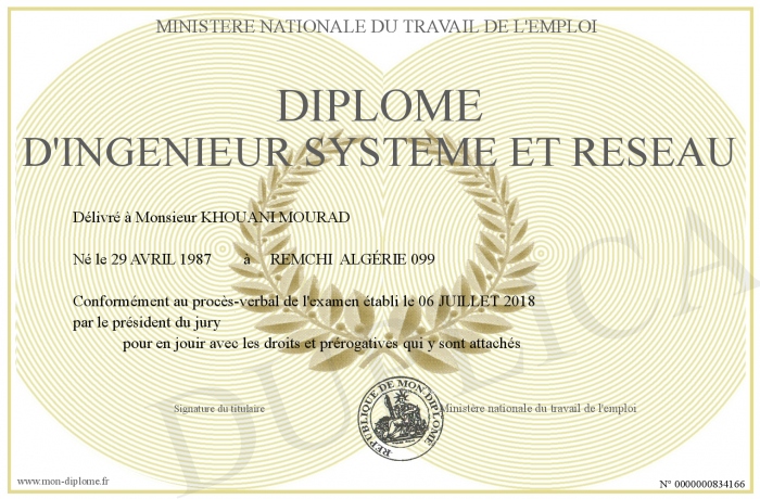 Diplome D ingenieur systeme et reseau diplome-d-ingenieur-systeme-et-reseau