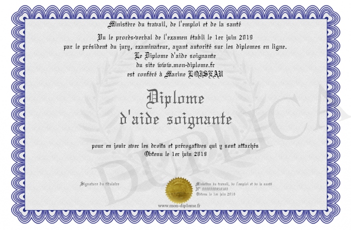Diplome D Aide Soignante