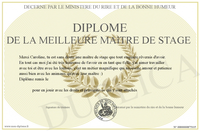diplome-de-la-meilleure-maitre-de-stage