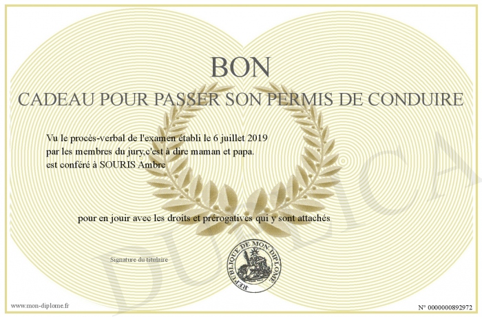 Bon-cadeau-pour-passer-son-permis-de-conduire