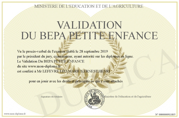 Validation-Du-BEPA-PETITE-ENFANCE