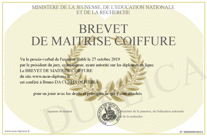 Brevet De Maitrise Coiffure