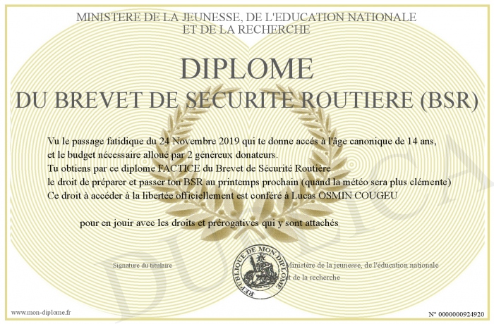 Diplome Du Brevet De Securite Routiere Bsr