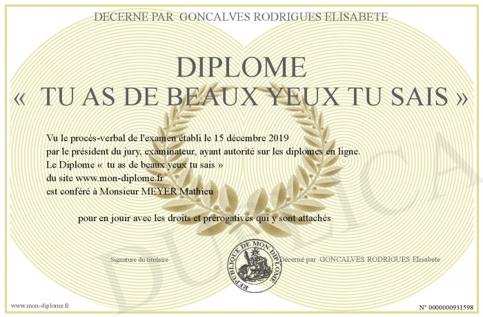 Diplome-« -tu-as-de-beaux-yeux-tu-sais-»