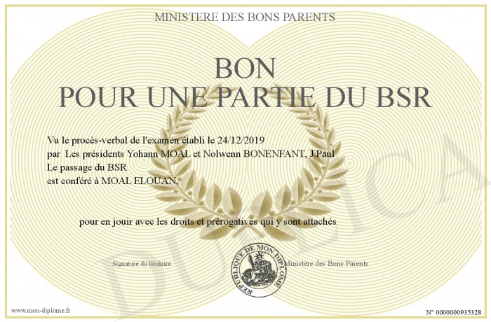 bon-pour-une-partie-du-BSR