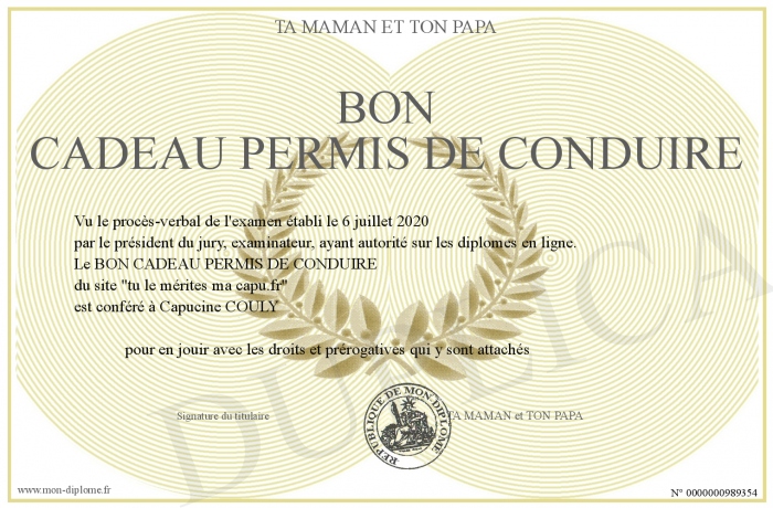 BON-CADEAU-PERMIS-DE-CONDUIRE BON-CADEAU-PERMIS-DE-CONDUIRE