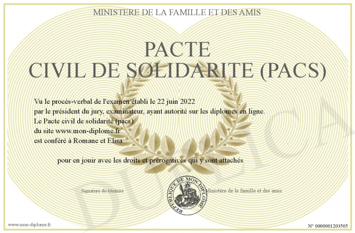 Pacte Civil De Solidarite Pacs