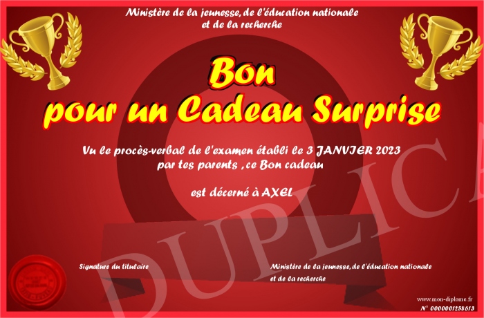 message de remerciement pour un cadeau surprise