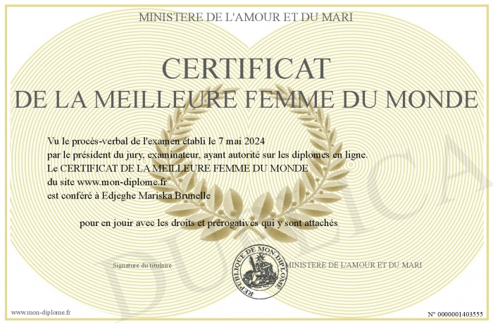 Sweat à Capuche Humour "Meilleure Bichette Du Monde" - Cadeau Drôle Pour Femme
