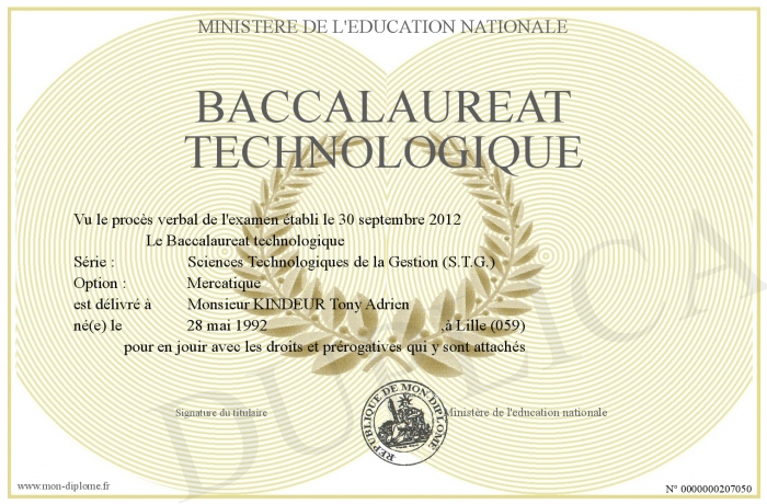 baccalaureat technologique - résultat bac ministère education nationale