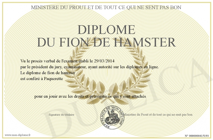 Diplome-du-FION-DE-HAMSTER