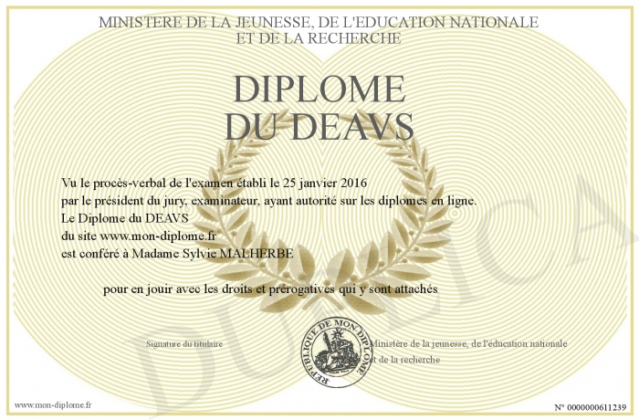 qu est ce que le diplôme deavs - deavs fiche métier