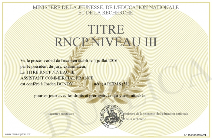 titre niveau 3 rncp - titre rncp niveau 7