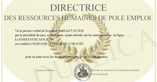DIRECTRICE DES RESSOURCES HUMAINES DE POLE EMPLOI