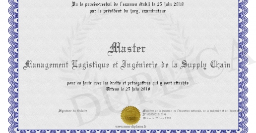 Master Management Logistique et Ingenierie de la Supply Chain
